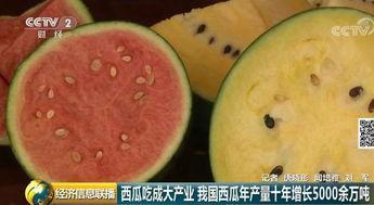 吃瓜的国家有哪些,全球“吃瓜”现象的多元文化解读