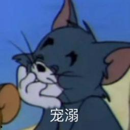 带你吃瓜猫和老鼠,带你领略“带你吃瓜猫和老鼠”的欢乐时光