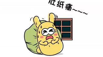 吃瓜查房,网络红人的崛起与争议