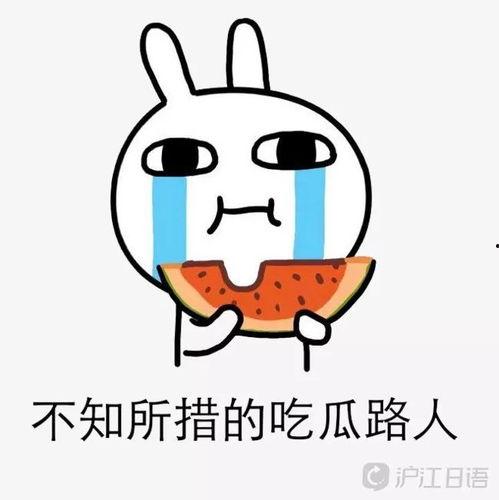 吃瓜查房,网络红人的崛起与争议