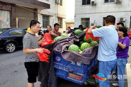 湘乡吃瓜事件,一场引发社会热议的校园风波