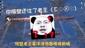 吃鸡吃瓜投稿,揭秘游戏圈幕后趣闻