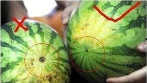 恐怖吃瓜小技巧,让你成为恐怖片达人