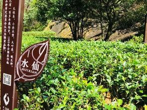 牧南吃瓜网站入口,带你领略网络娱乐新天地