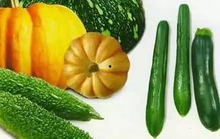 梦欣吃瓜,揭秘娱乐圈幕后故事