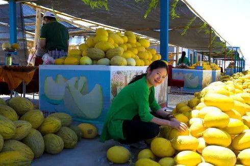 瓜州吃瓜甘肃酒泉,甘肃风情尽享之旅