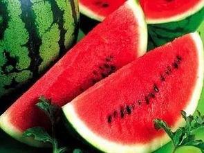 我们常吃的瓜有什么瓜