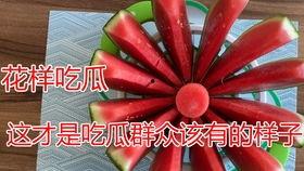 吃瓜的风车,揭秘瓜田里的那些事儿