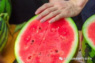 各大校园吃瓜,揭秘各大校园的热辣事件