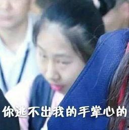 吃瓜一姐招摇,揭秘娱乐圈背后的风云变幻