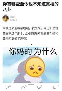 吃瓜顶包小说,吃瓜者的意外顶包之旅