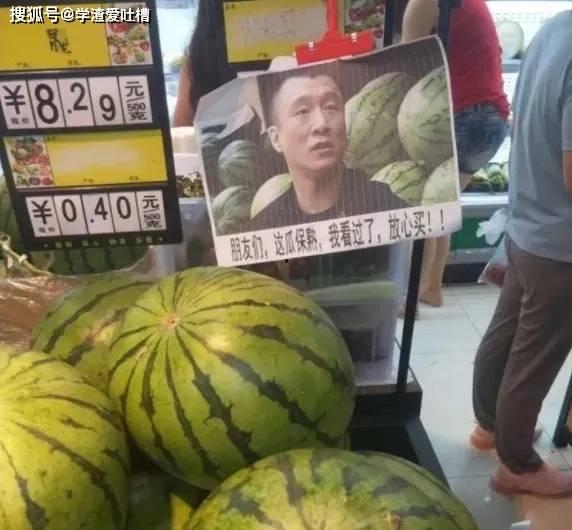 吃瓜顶包小说,吃瓜者的意外顶包之旅