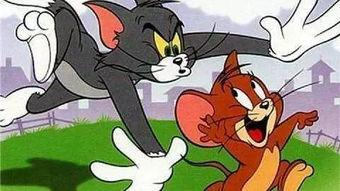 猫和老鼠老鼠吃瓜,老鼠吃瓜背后的欢乐与智慧