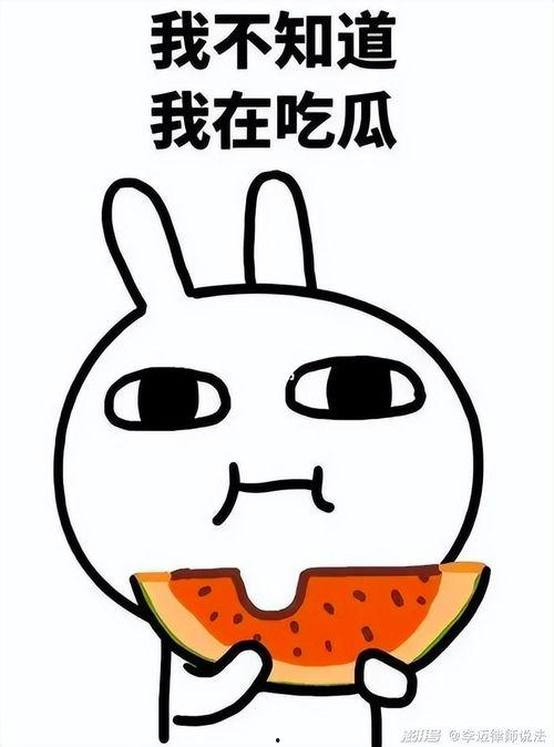 配齐吃瓜,解锁夏日清凉新姿势！