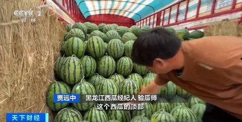 志奇吃瓜,揭秘娱乐圈背后的那些事儿