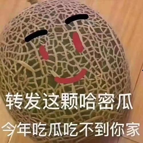 爆笑吃瓜段子文案,吃瓜群众必备的爆笑段子集锦