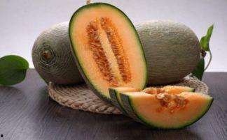 郑漂漂吃瓜,揭秘娱乐圈背后的那些事儿