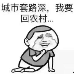 吃瓜群众工资多少,揭秘吃瓜群众的幸福指数