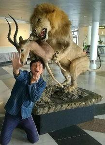 勇敢的吃瓜老王,揭秘娱乐圈背后的故事