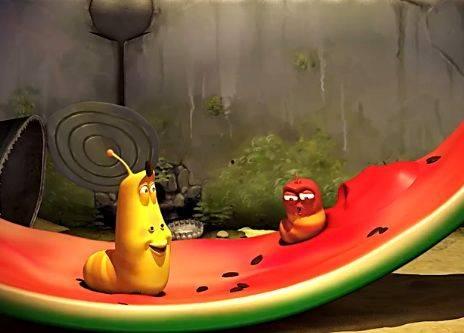 昆虫学者吃瓜,吃瓜背后的昆虫世界