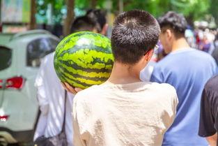 吃瓜别人的情缘,揭秘网络吃瓜者的情感纠葛
