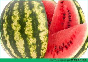 不老瓜怎样吃,解锁健康美味新体验