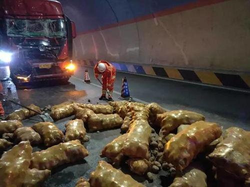 武都事件吃瓜,一场网络舆论的风暴与反思