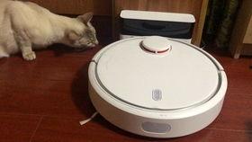 吃瓜机器图片大全,揭秘现代科技与娱乐的跨界融合