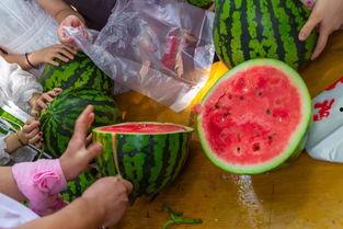 西宁的吃瓜视频,一场视觉与味蕾的双重盛宴