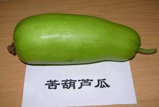 中节能衡水吃瓜,绿色能源与生态农业的“吃瓜”盛宴