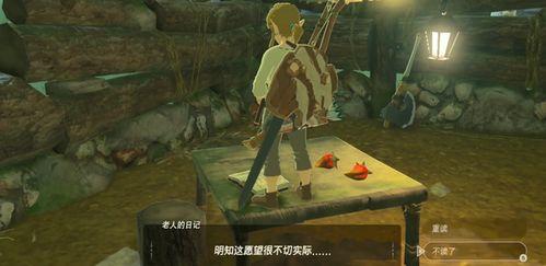 塞尔达吃瓜的女子,探寻她的神秘面纱