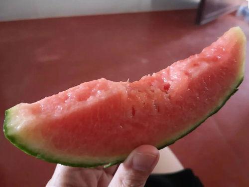 云局吃瓜,揭秘吃瓜群众的网络狂欢