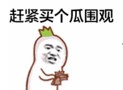 最牛吃瓜群众分享,最牛吃瓜群众带你领略幕后风云