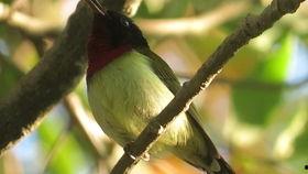 吃瓜白鸟,揭秘娱乐圈的幕后故事