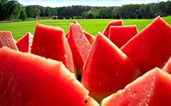 吃梨瓜300字,一场味蕾的300字之旅