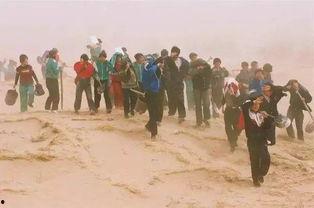 绿洲里面吃瓜,共享夏日清凉时光