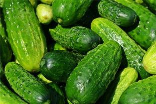 梦见摘瓜吃带别人吃,摘瓜共享，共享甜蜜的梦境之旅