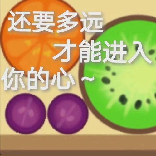 吃瓜使我快乐图,揭秘网络热图背后的娱乐狂欢