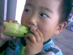 吃瓜使我快乐图,揭秘网络热图背后的娱乐狂欢