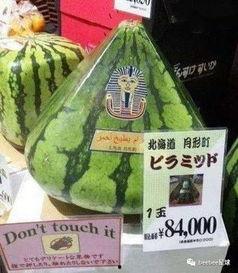 全网最美吃瓜群众,揭秘网络红人的幕后故事