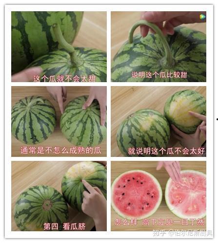 美丽的吃瓜人,探寻吃瓜者的幸福密码