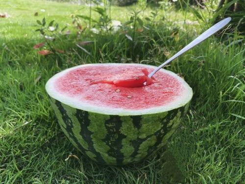 美丽的吃瓜人,探寻吃瓜者的幸福密码