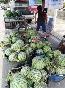 博乐近期吃瓜事件,揭秘近期热门吃瓜事件