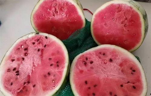 吃瓜真假,真假难辨的娱乐圈八卦风云