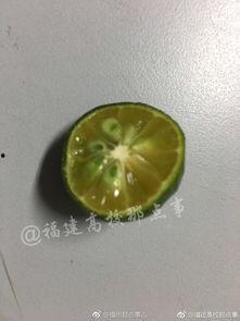 农林大学吃瓜,揭秘校园生活趣味瞬间