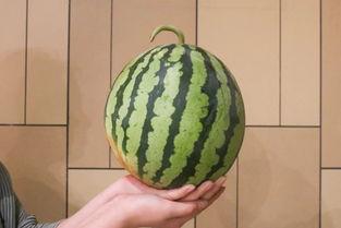 吃瓜又又甜,探寻“吃瓜又又甜”的独特魅力