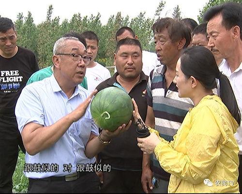 硕博吃瓜,揭秘学术界的“吃瓜”风云