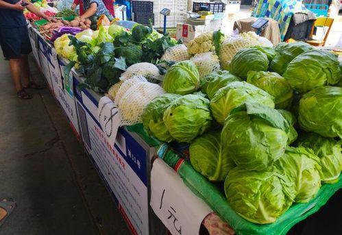 3元店吃瓜,揭秘平价美食的诱惑与魅力