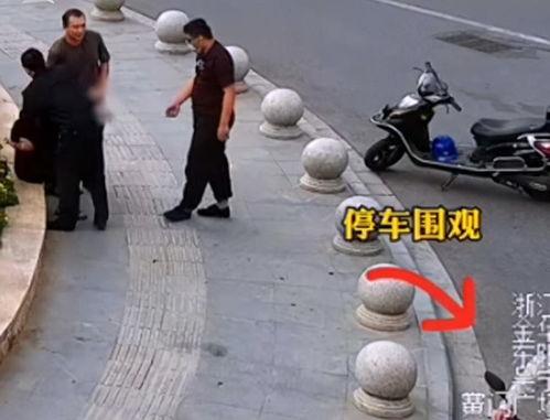 路过围观吃瓜,围观吃瓜，揭秘生活百态