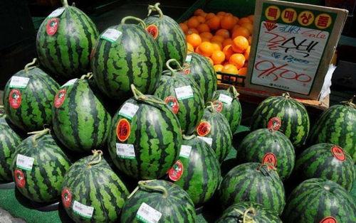 韩国吃蜜瓜,甜蜜滋味，文化交融的味蕾之旅